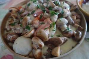 blanquette